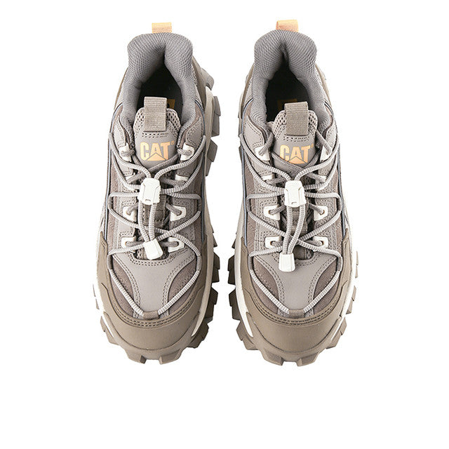 Intruder Max In Fungi