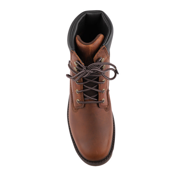 Deplete Wp In Brown