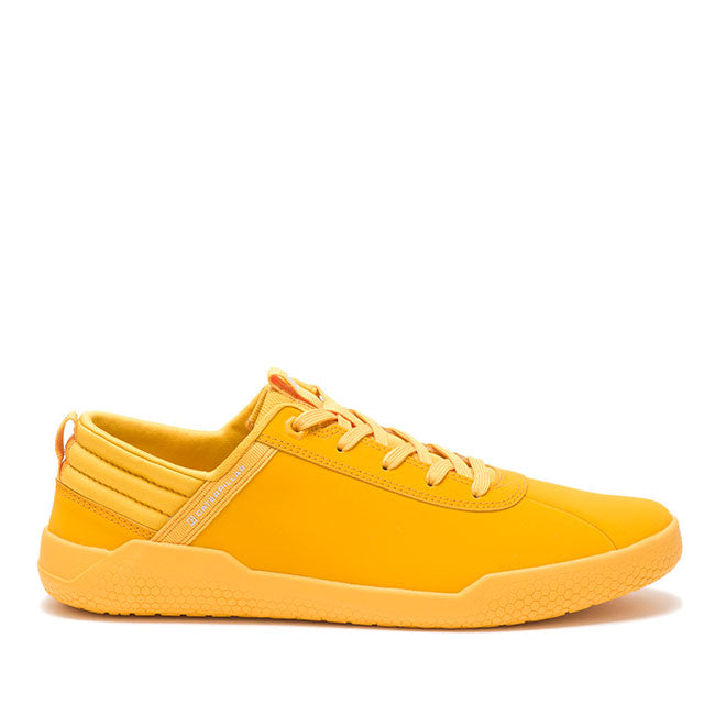 Hex In Cat Yellow